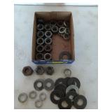 Flat filled with large nuts, 1 and 5/16 in, and