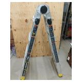 Gorilla Ladders 300 lb capacity, multi-position