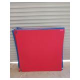 10 red and blue interlocking foam mats, 3x3 ft