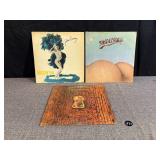 3 Record Albums