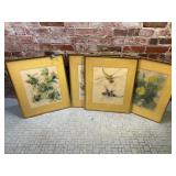 Set of 4 Klaus Meyer-Gasters Watercolors