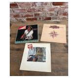 3 Jimmy Buffett Record Albums