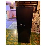 10-13 Gun Safe
