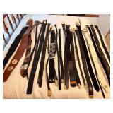 Collection Of Ladies Belts