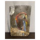 Parrot painting on slate