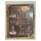 1991 Chicago Bulls 'World Champs' poster