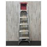 Werner 6ft aluminum step ladder