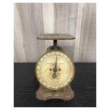 antique e. 1900s Columbia Family Scale