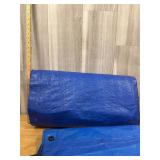 2 blue tarps