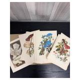 Audubon Birds of America folio book
