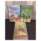 Hardy Boys book lot