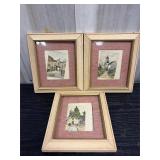 Vintage framed house pictures