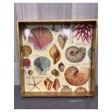 Shell serving tray