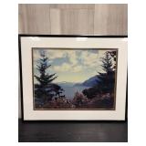 Framed vintage photograph of Pine trees on a lake