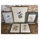 Bird Prints