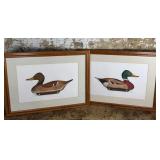 Arthur Nevin Duck Prints