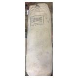 Everlast Heavy Bag