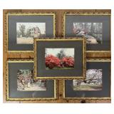 Five Enhanced Photogrpahs