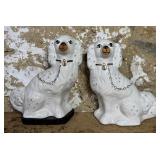 Staffordshire Spaniels