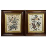 Bird Prints