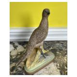 Boehm Pheasant