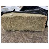 (13) 3x4x8 Large Square Alfalfa Hay - OFFSITE