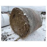 (10) 5x6 Canary Grass Round Bales - Off Site