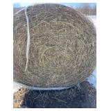17 wrapped round bales orchard grass- Offsite