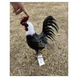 Metal Rooster