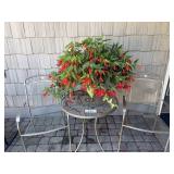 Patio Chairs