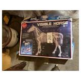 Visible Horse Model
