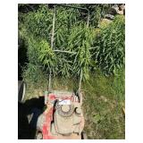 MTD Push Mower
