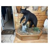 Full Body Black Bear Mount on Base
