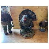 Full Body Turkey Mount