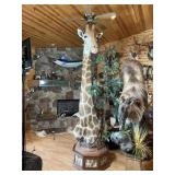 Giraffe Shoulder Mount on Base