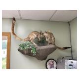 African Springhare Mount