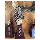 African Zebra Shoulder Mount on Pedistool