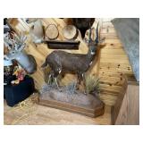 Cape Bushbuck Full Body Mount on Base