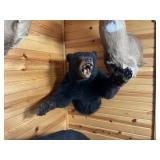 1/2 Body Black Bear Mount