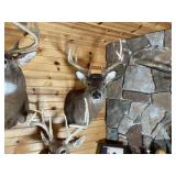 10pt Whitetail Shoulder Mount