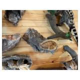 Fox Squirrel Mount