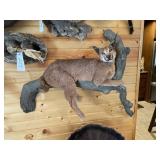 Lynx Full Body mount on Wood