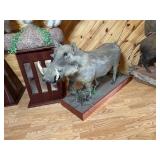 Full Body African Warthog Mount on Base