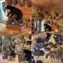 Rick & Evelyn Delaney - Boat, Guns, Taxidermy -Warrens WI