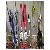 Nordic Cruising Skis w/Fischer Shoes/Sticks