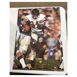 Walter Payton Poster
