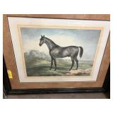 Moses Horse Picture
