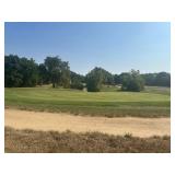 Gold Club  Real Estate Auction