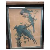 Vintage Audubon Print 1948 Northwestern Mutual