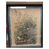 Vintage Audubon Print 1948 Northwestern Mutual